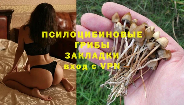 спиды Семёнов